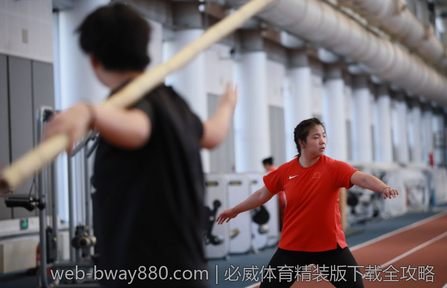 必威体育精装版下载全攻略