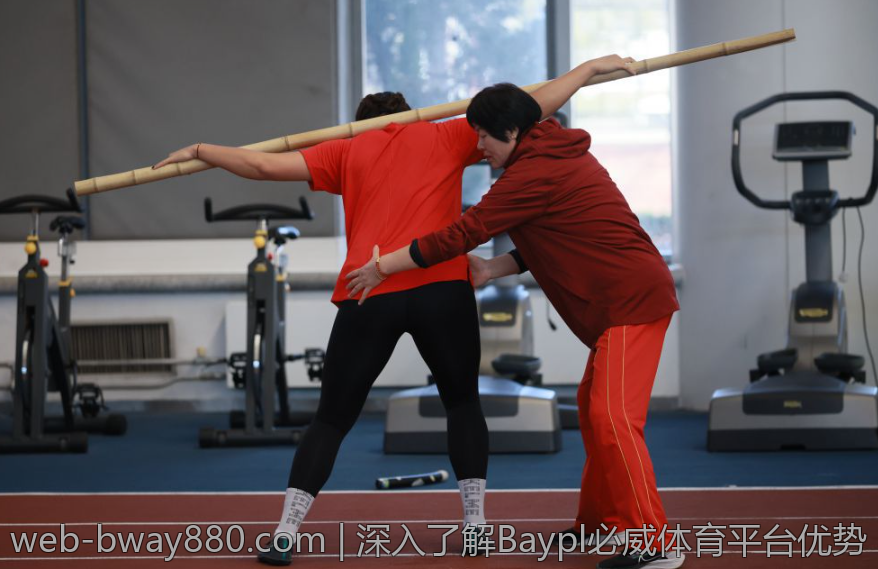 深入了解Baypl必威体育平台优势
